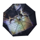 HARRY POTTER ★ Philosopher's Stone Umbrella ＆ Clearance