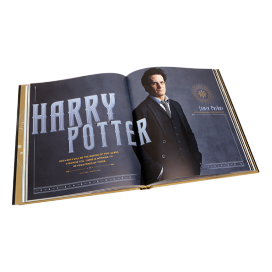HARRY POTTER ★ Harry Potter And The Cursed Child: The Journey (Hardback) ＆ New Product