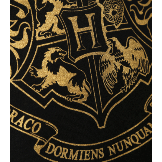 HARRY POTTER ★ Hogwarts Gold Crest Hooded Jumper ＆ New Product