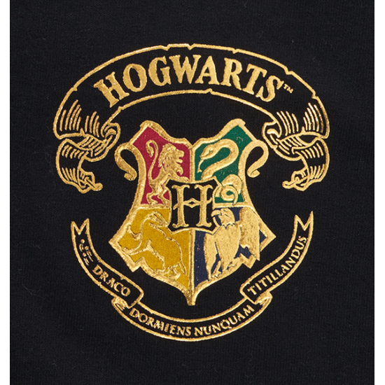 HARRY POTTER ★ Hogwarts Adult Spirit Jersey® ＆ New Product