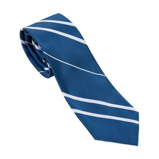 HARRY POTTER ★ Ravenclaw House Tie ＆ Clearance