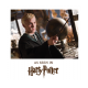 HARRY POTTER ★ Slytherin House Tie ＆ Clearance