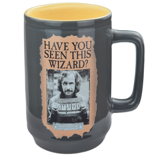 HARRY POTTER ★ Have You Seen This Wizard Mug ＆ Hot Sale